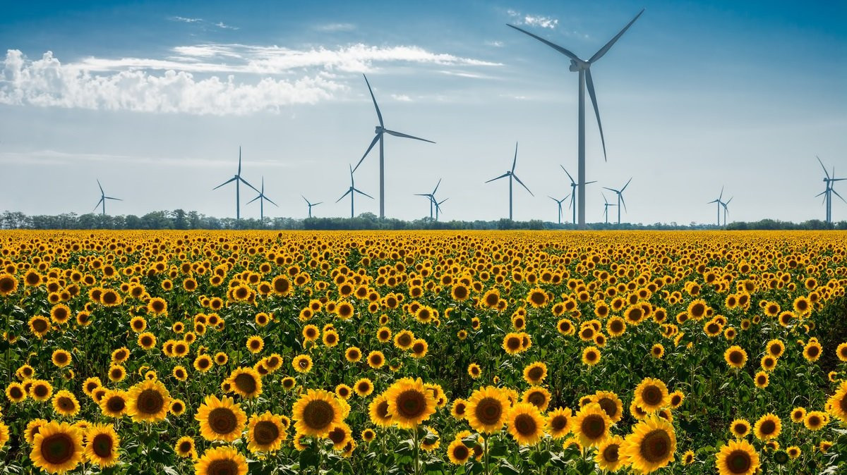 Production with 100% green electricity