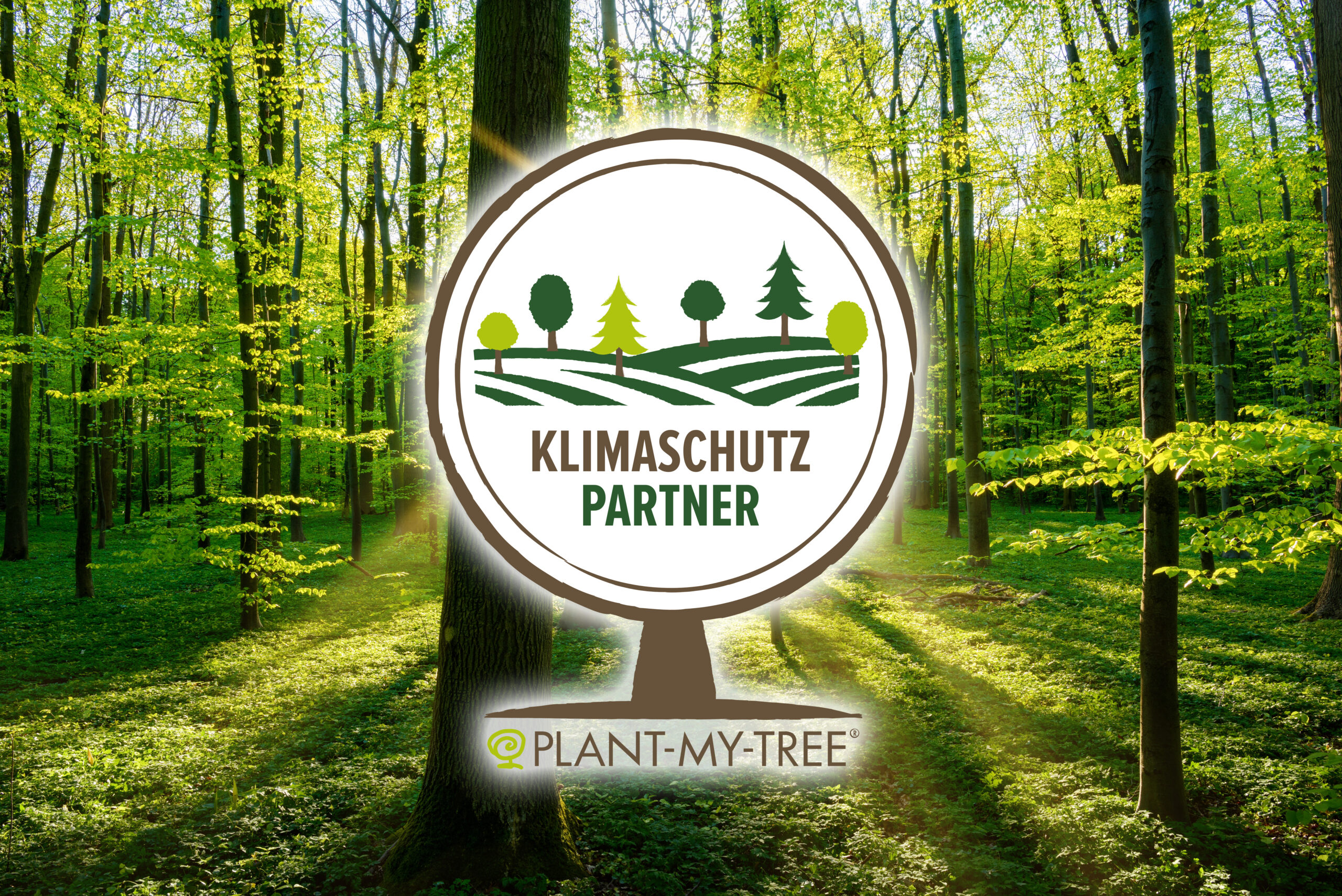Plant My Tree